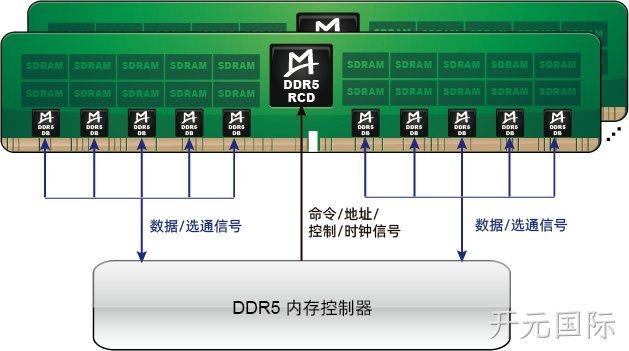 M88DR5DB01 (Gen1 DDR5 DB)